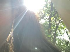 -东莞植物园
