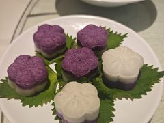 -席家花园(巨鹿花园店)
