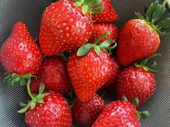 -甜心庄园·甜心草莓采摘园(西青中北店)