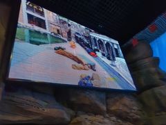 -华夏文旅海洋公园