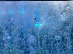 -泉城欧乐堡海洋极地世界