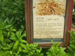 -三亚珠江南田温泉度假区