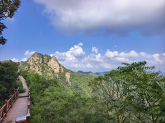 -大岭沟猕猴桃谷风景区