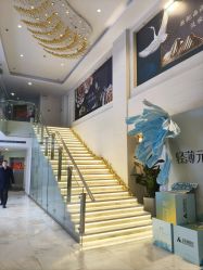 点击看大图 -石家庄苏亚美联臣医疗美容医院
