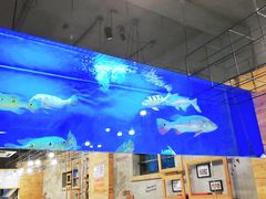 -韩礼年糕(飞虹路店)