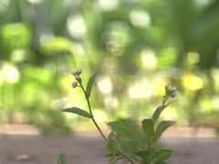 -长春公园(普阳街道)