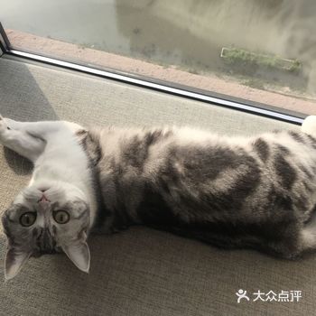 那年我第一次去了东京迪士尼