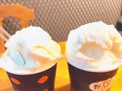 -野人牧坊Gelato(天津南开大悦城店)