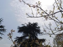 -南山植物园