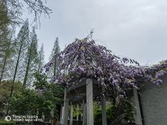 -郑和公园