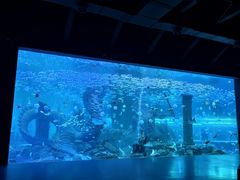 -哈尔滨波塞冬海底世界