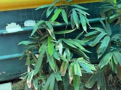 -湖南别院·美学庭院餐厅(惠阳店)