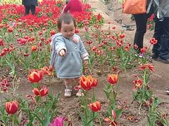 -丹樱生态园