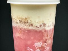 多肉粉荔-喜茶(上海五角场万达店)