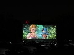 -枫花园汽车电影院(朝阳公园店)