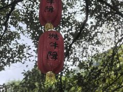 -石台牯牛降景区