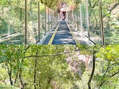 -嵖岈山风景区