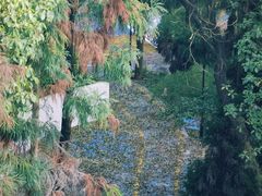 -南山植物园