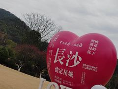 -桃花岭景区