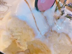黑糖珍珠梳芙厘-狐狸和向日葵(北京路店)