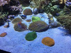 -湾景餐厅(海洋公园店)