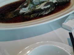 -张生记(丁香国际店)