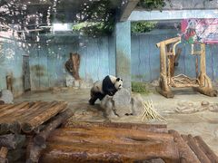 -海南热带野生动植物园