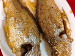 -蛇口康乐快餐鱼仔档(翠苑小区店)