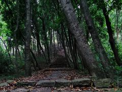 -东钱湖旅游度假区