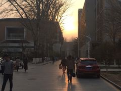 -北京外国语大学东院食堂