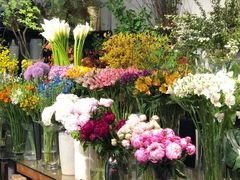 -双季花艺园艺市场(浦东店)