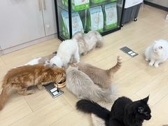 -石家庄万象城