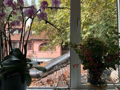 -蝶舍·MAISON PAPILLON