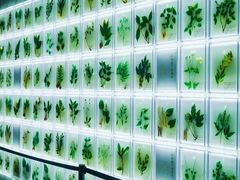 -广东中医药博物馆