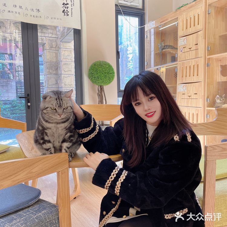 西安首家丨别墅级超大型×品质猫舍×在线撸猫🐱