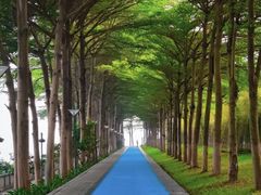 -广州国际生物岛