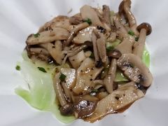 -月龍吟(朝龙汇店)