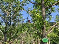 -狼山风景名胜区