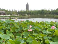 -西海子公园