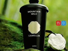 -仙雨林·奶茶鲜果茶(书院巷店)