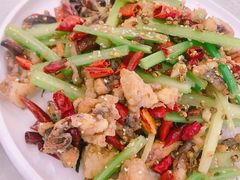 干煸鱿鱼须-普天和酒楼·新津菜·烤鸭(天津之眼店)