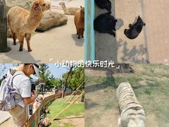 -南昌动物园