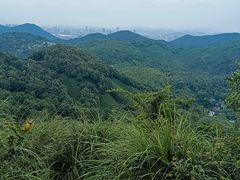 -中国茶叶博物馆(双峰馆区)