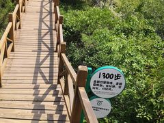 -大岭沟猕猴桃谷风景区