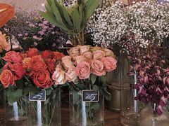 -FLOVIE FLORIST CAFE