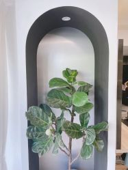 点击看大图 -Garden花園造型