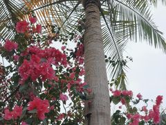 -云溪植物园