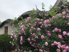 -盛世南宫影视城(北普陀影视城)