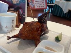 -侨美·唐荔园·40年地道粤菜