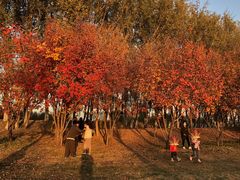 -东郊湿地公园